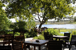 Picture taken at Thalamakane River Lodge Maun Botswana