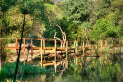 Camp Okuti Moremi