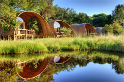 Camp Okuti Moremi