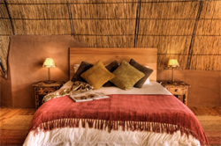Camp Okuti Moremi