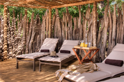 Camp Okuti Moremi
