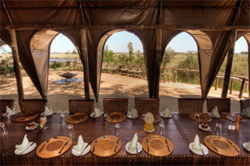 Camp Okuti Moremi