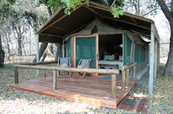 Kwara Camp Moremi