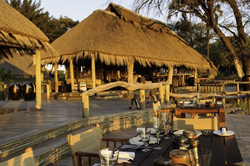 Mombo Camp Moremi