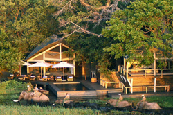 Abu Camp Okavango Delta Botswana