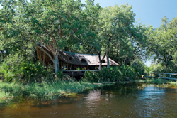 Xigera Camp Moremi