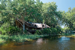 Xigera Camp Moremi Botswana