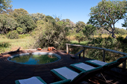 Xigera Camp Moremi Botswana