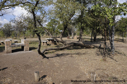 Picture taken at Panda Rest Camp Pandamatenga Botswana