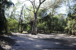 Picture taken at Drotskys Cabins Shakawe Botswana