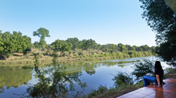 Picture taken at Limpopo River Lodge Tuli Block Botswana