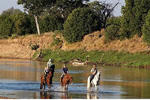 Limpopo Valley Horse Safaris 