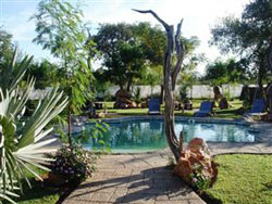 Oasis Lodge Zanzibar Tuli Block