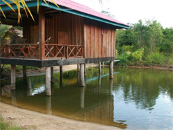 Palm Beach Bungalow Resort