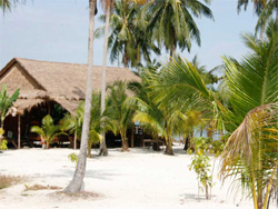 Palm Beach Bungalow Resort