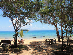 Treehouse Bungalow Resort