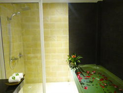 Angkor Boutique Tropic Hotel