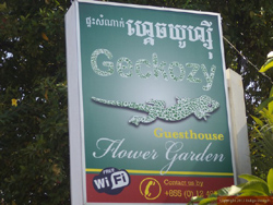 Geckozy Guesthouse