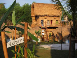 Mushroom Beach Bungalows