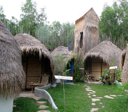 Mushroom Beach Bungalows