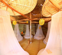 Mushroom Beach Bungalows