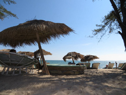 Mushroom Beach Bungalows
