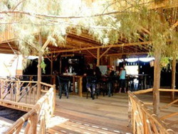 Taste of Paradise Guesthouse