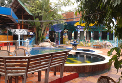 Utopia Garden Bar and Guesthouse