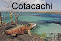 Ecuador