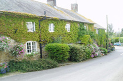 Abbotsbury  hotels