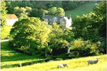 Abbotsbury accommodation