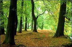 Alderley Edge  hotels