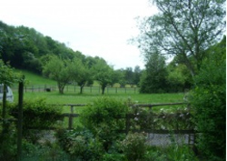 Canterbury  places to stay