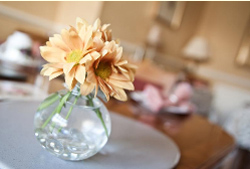 Canterbury  places to stay