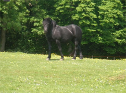 Canterbury  places to stay