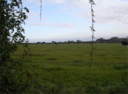 Cowes  places to stay