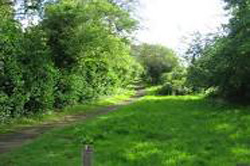 East Claydon  hotels