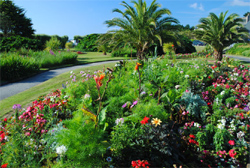 Falmouth  places to stay