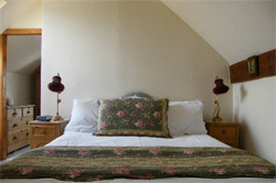 Fenny Bentley  places to stay