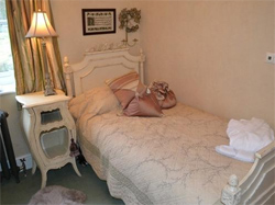 Halifax  places to stay