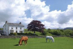 places to stay in Ingleton 