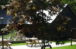 Maidstone  places to stay