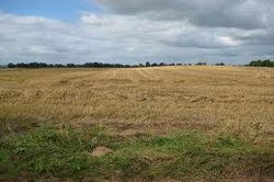 Market Drayton      hotels