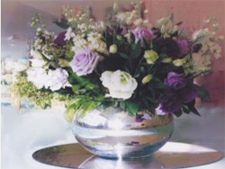 Marlborough  places to stay