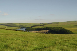 Rainow  places to stay