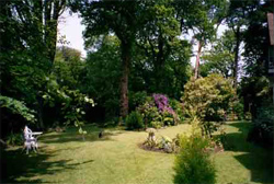 Shanklin Old Village  hotels