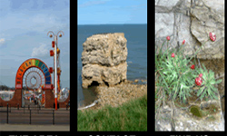 Sunderland  places to stay