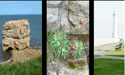 Sunderland  places to stay