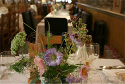 Tavistock  places to stay