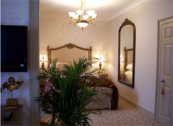 Torquay  places to stay